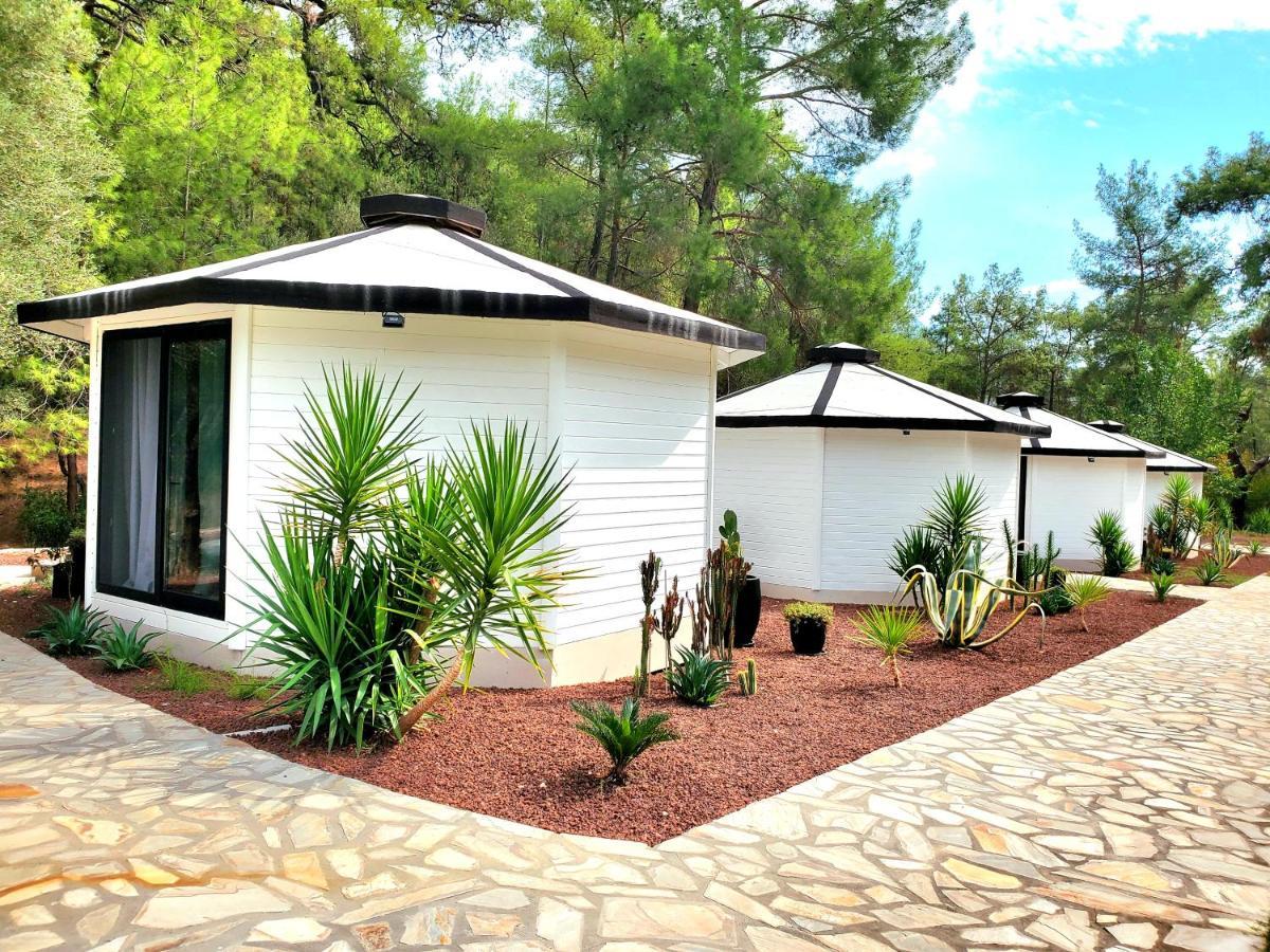 Nomad Lodge Olympos Adults Only Экстерьер фото